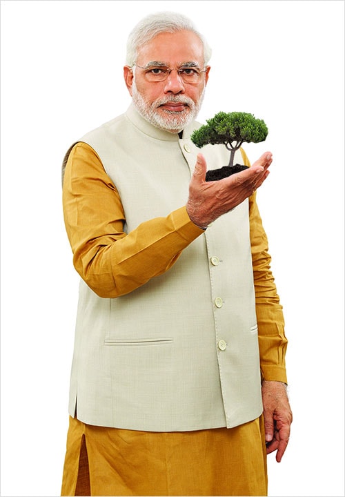 PM Modi Planting Tree